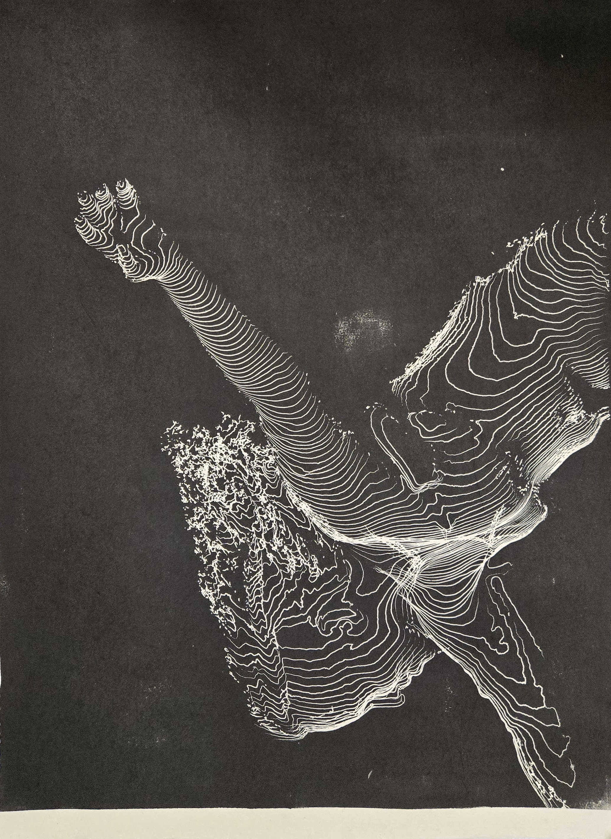 A print of a woman falling in slow motion.